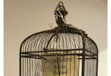 Henk Wijnen Henk Wijnen for Noweapon.world