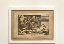 Francesco Impellizzeri